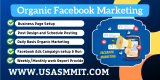 Organic Facebook Marketing: Tips to Boost Your Social Presence.